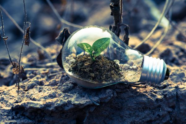 L'Impact des Entreprises sur le Développement Durable : Vers un Avenir Éco-Responsable